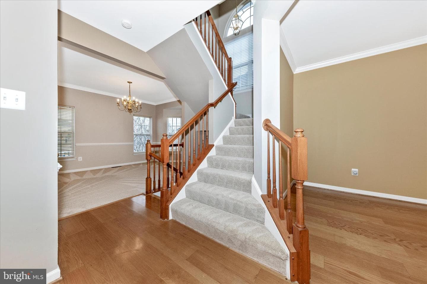 9 Fiona Way photo 19