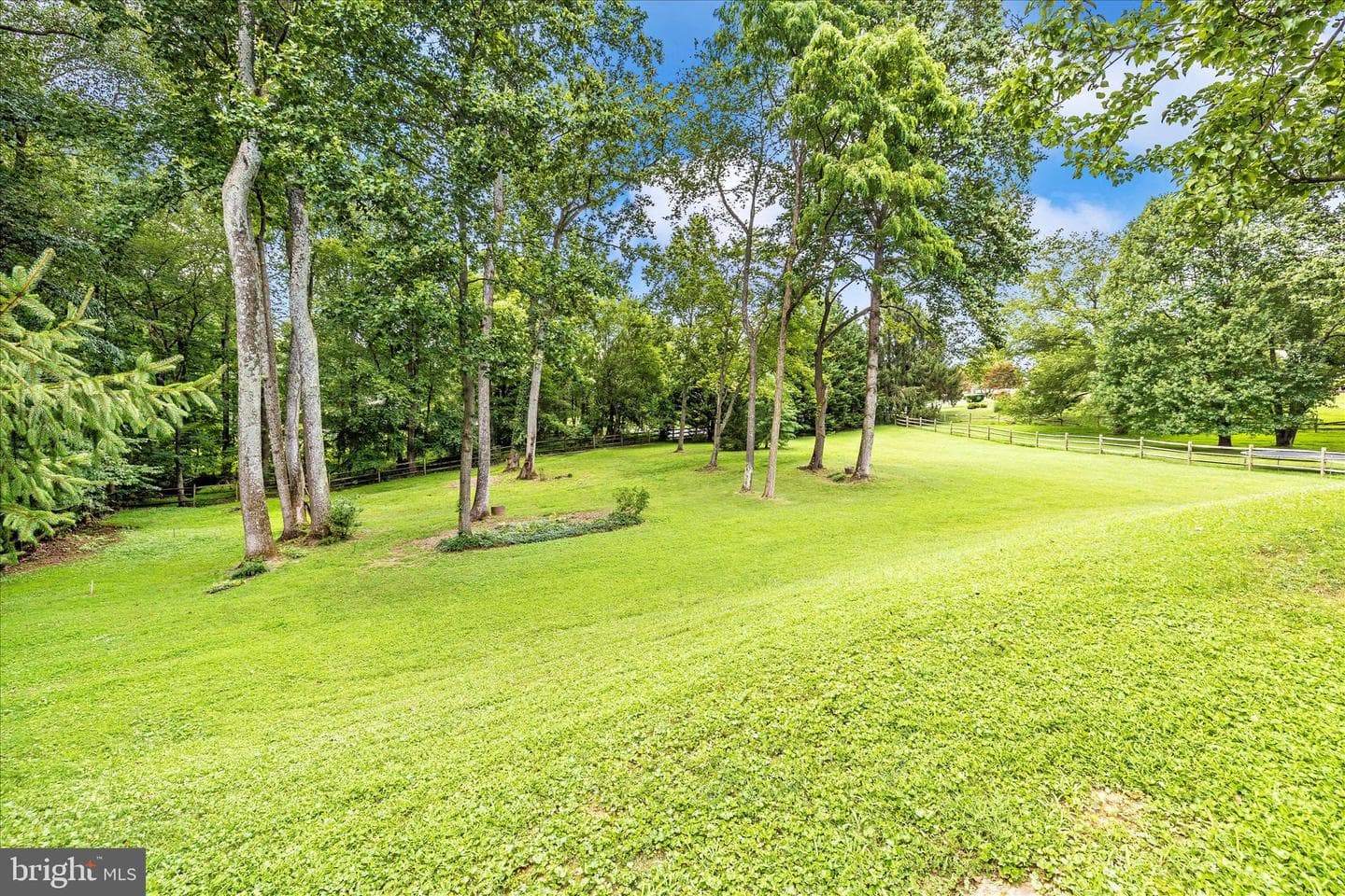 402 Leafy Hollow photo 52