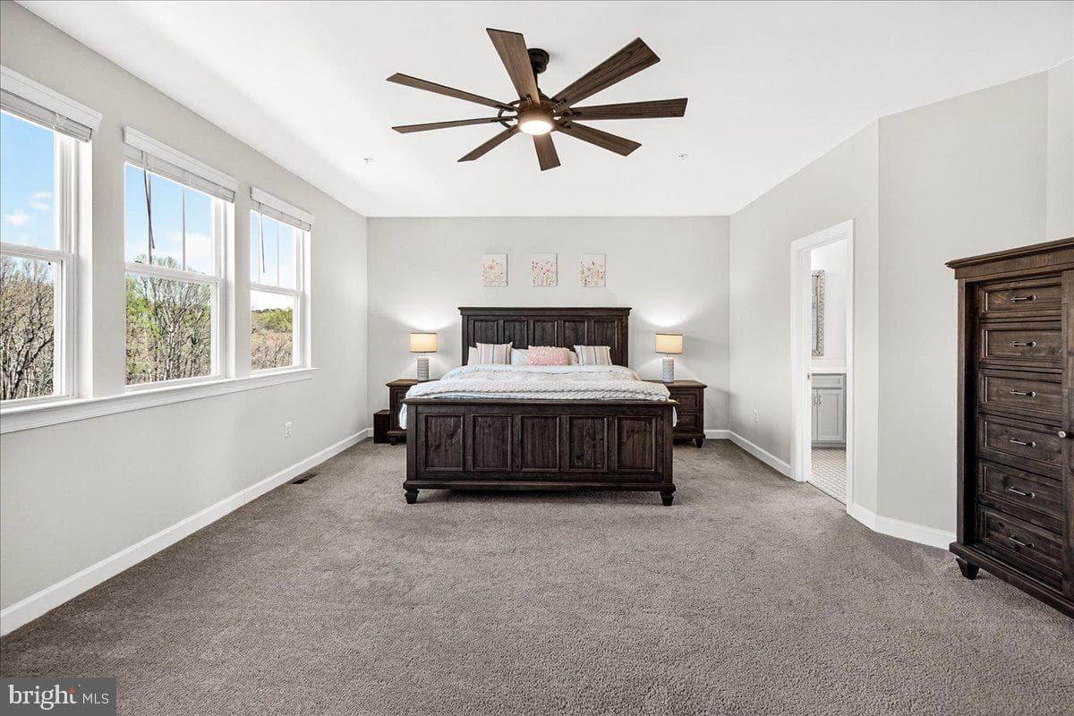 3633 Moline Court photo 44