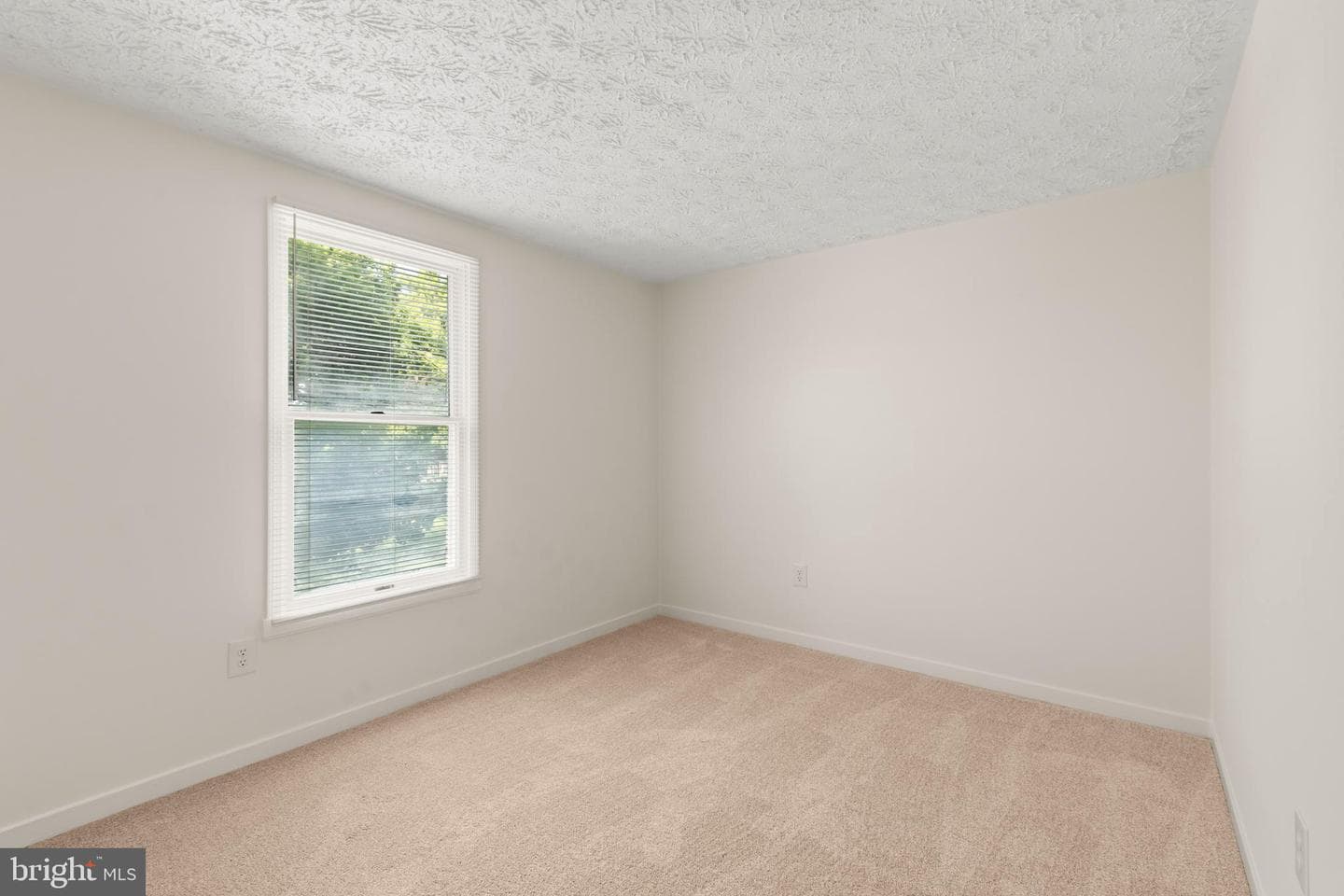 100 Albany Avenue E photo 23