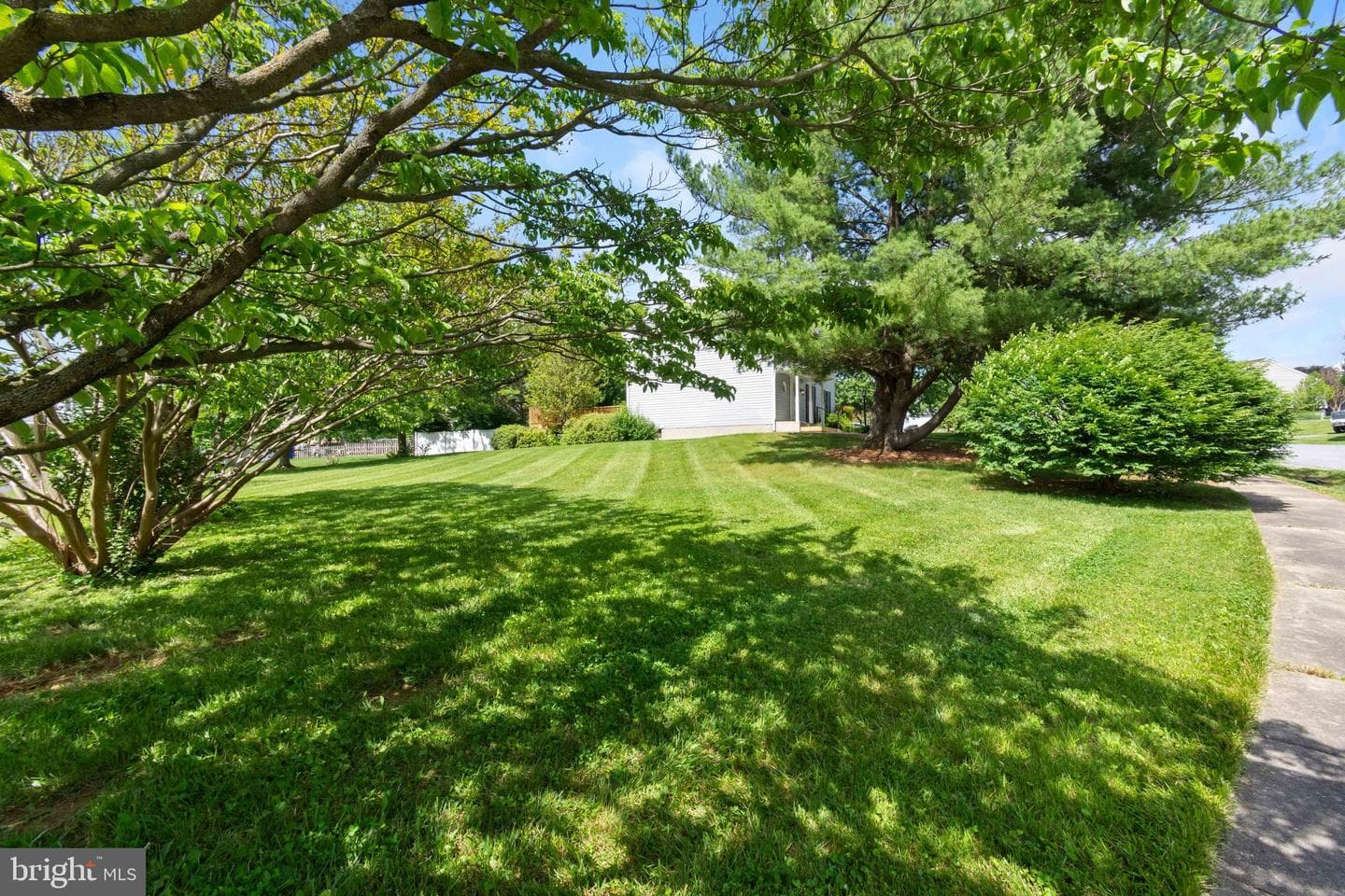 100 Albany Avenue E photo 47