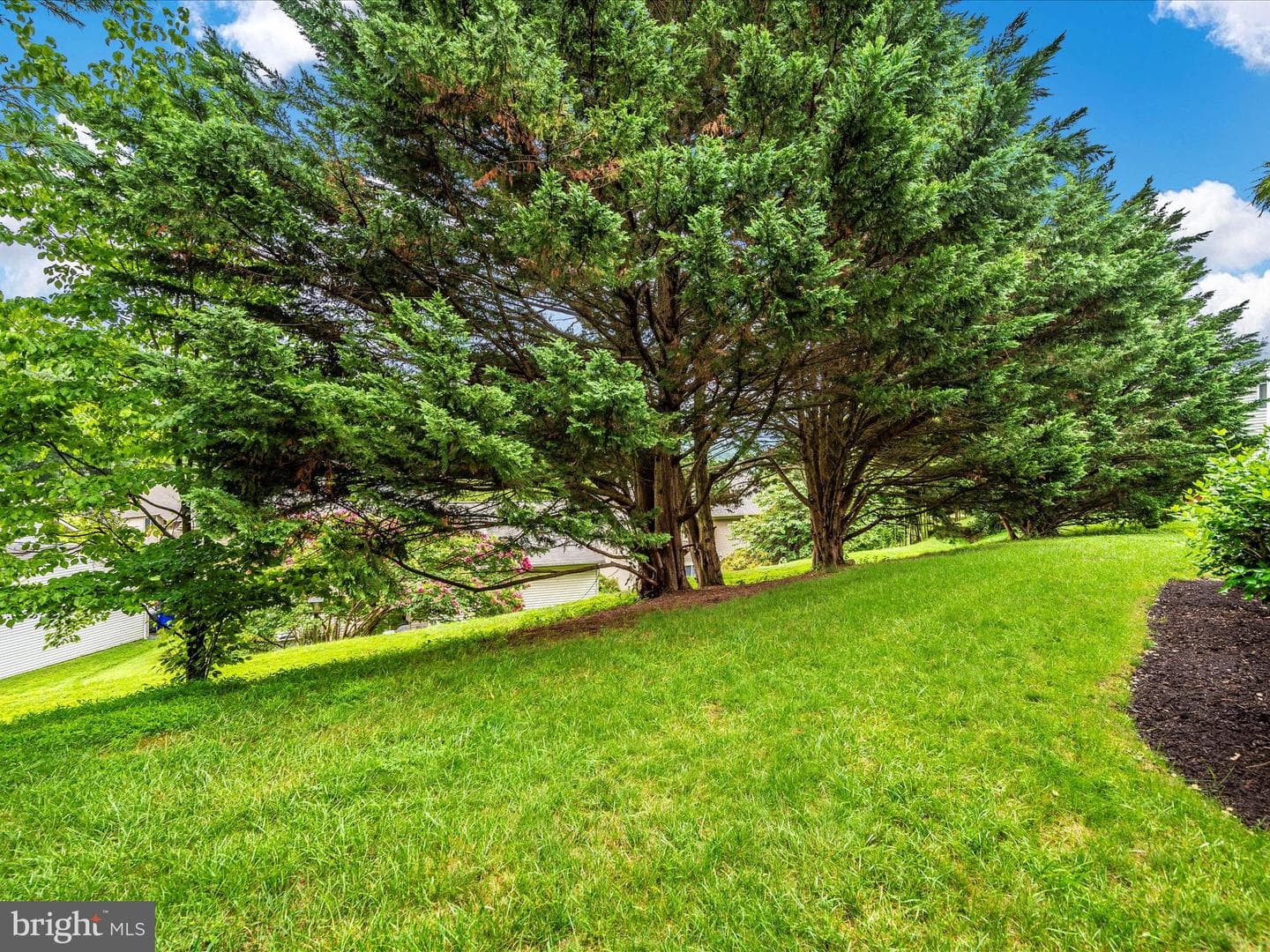 10251 White Pelican Way #103b photo 43