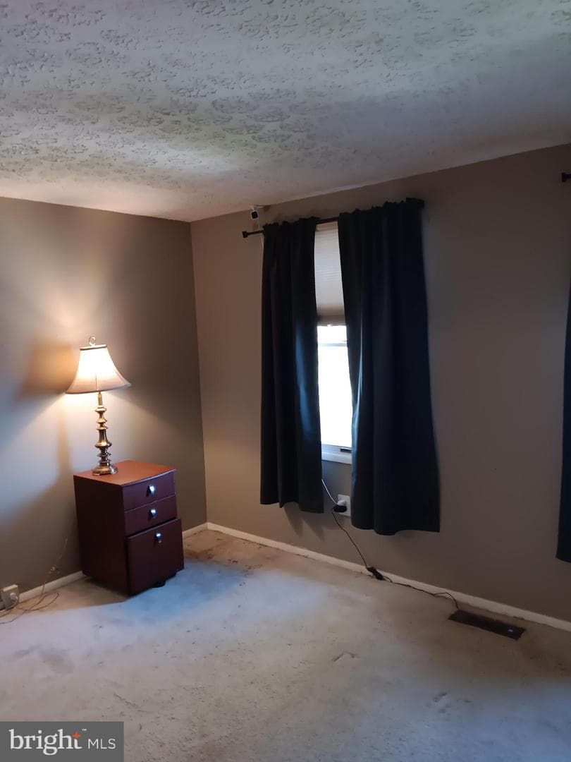 246 Canfield Terrace photo 16