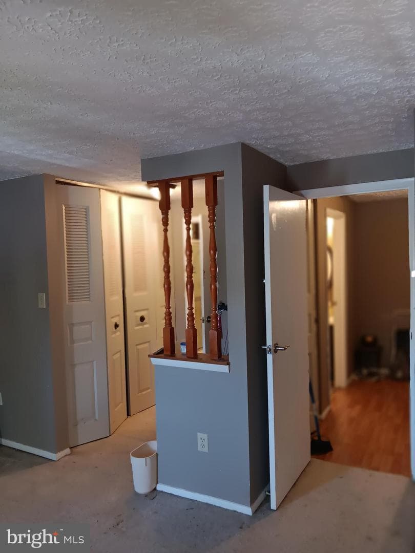 246 Canfield Terrace photo 18
