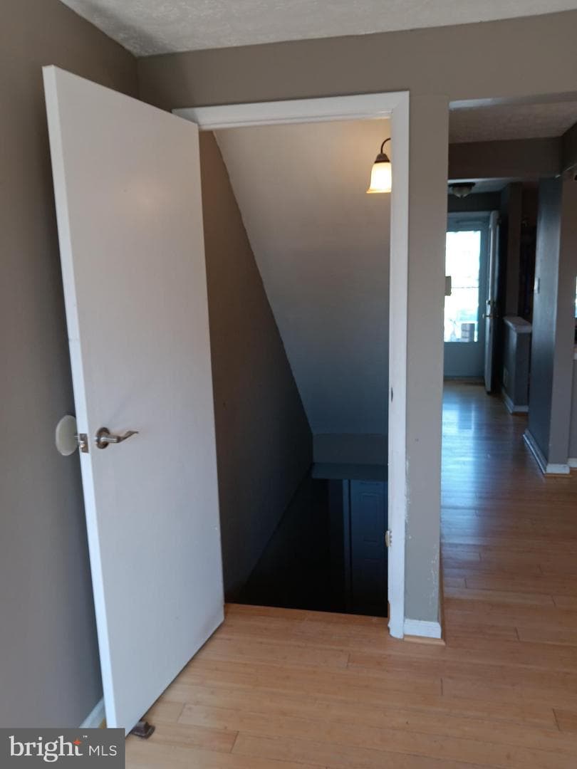 246 Canfield Terrace photo 19