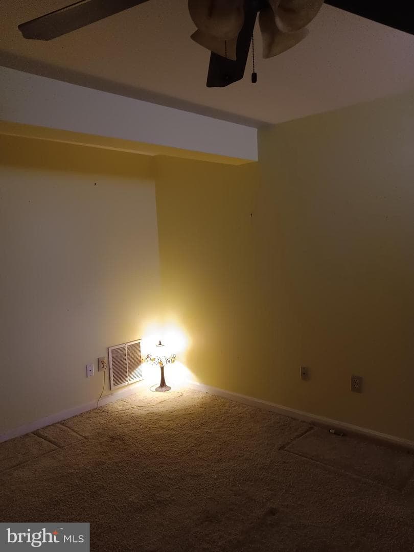 246 Canfield Terrace photo 23