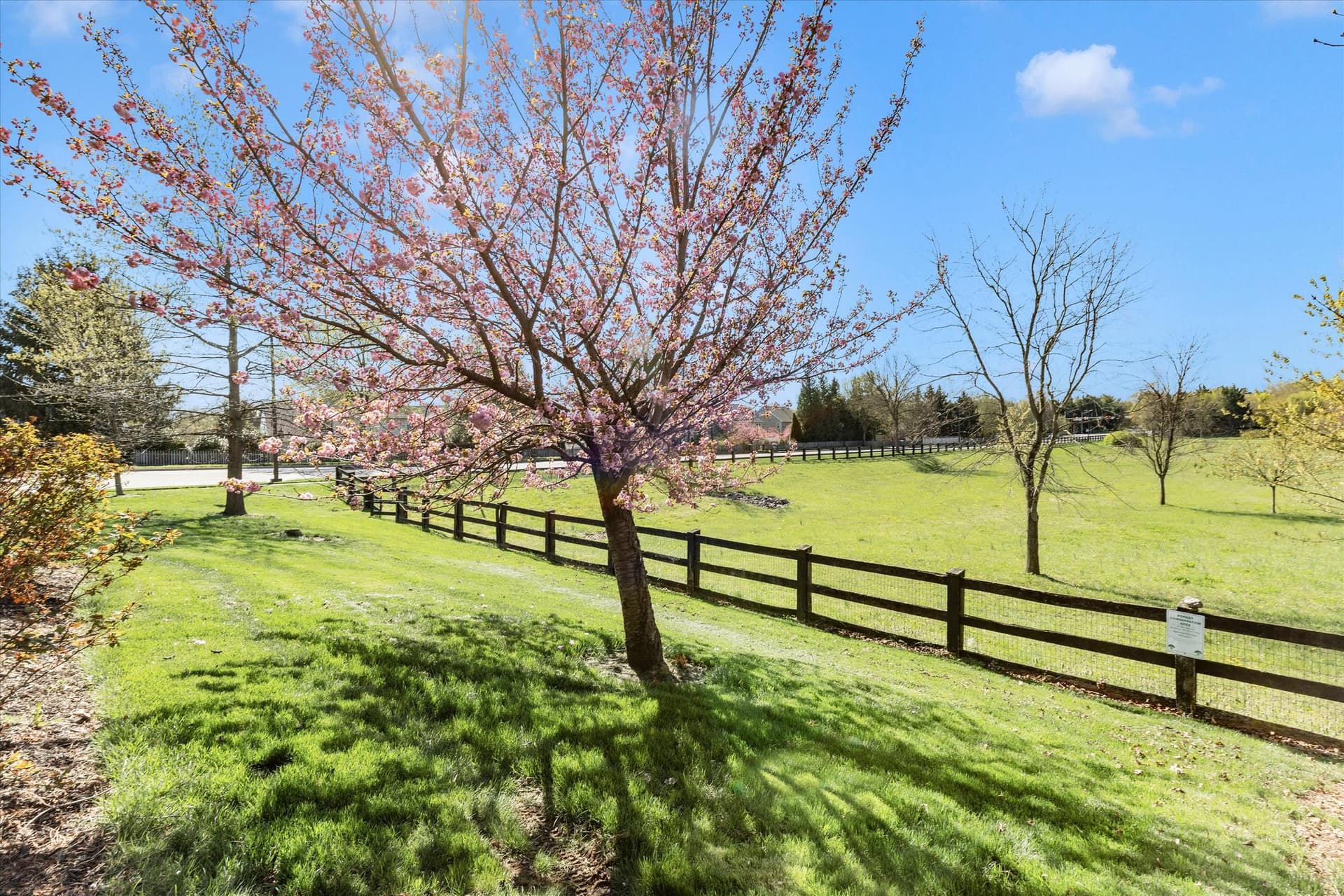 100 Sunlight Drive photo 24