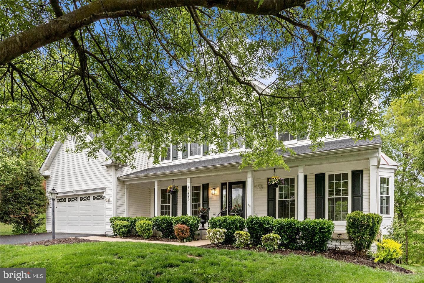 6463 Forest Hills Court photo 55