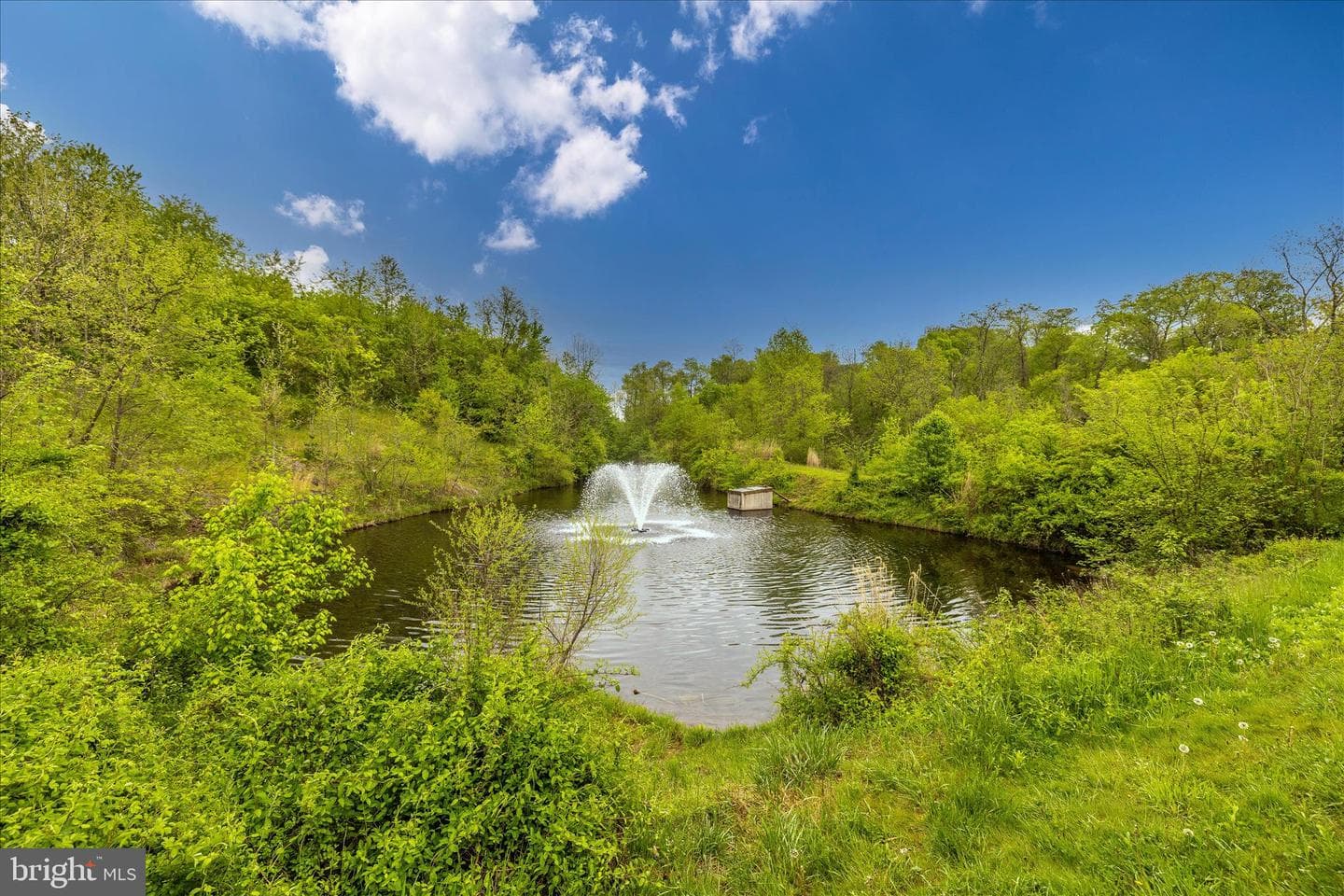 11007 Country Club Road photo 61