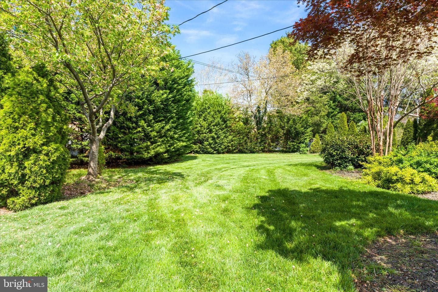 417 Biggs Avenue photo 52