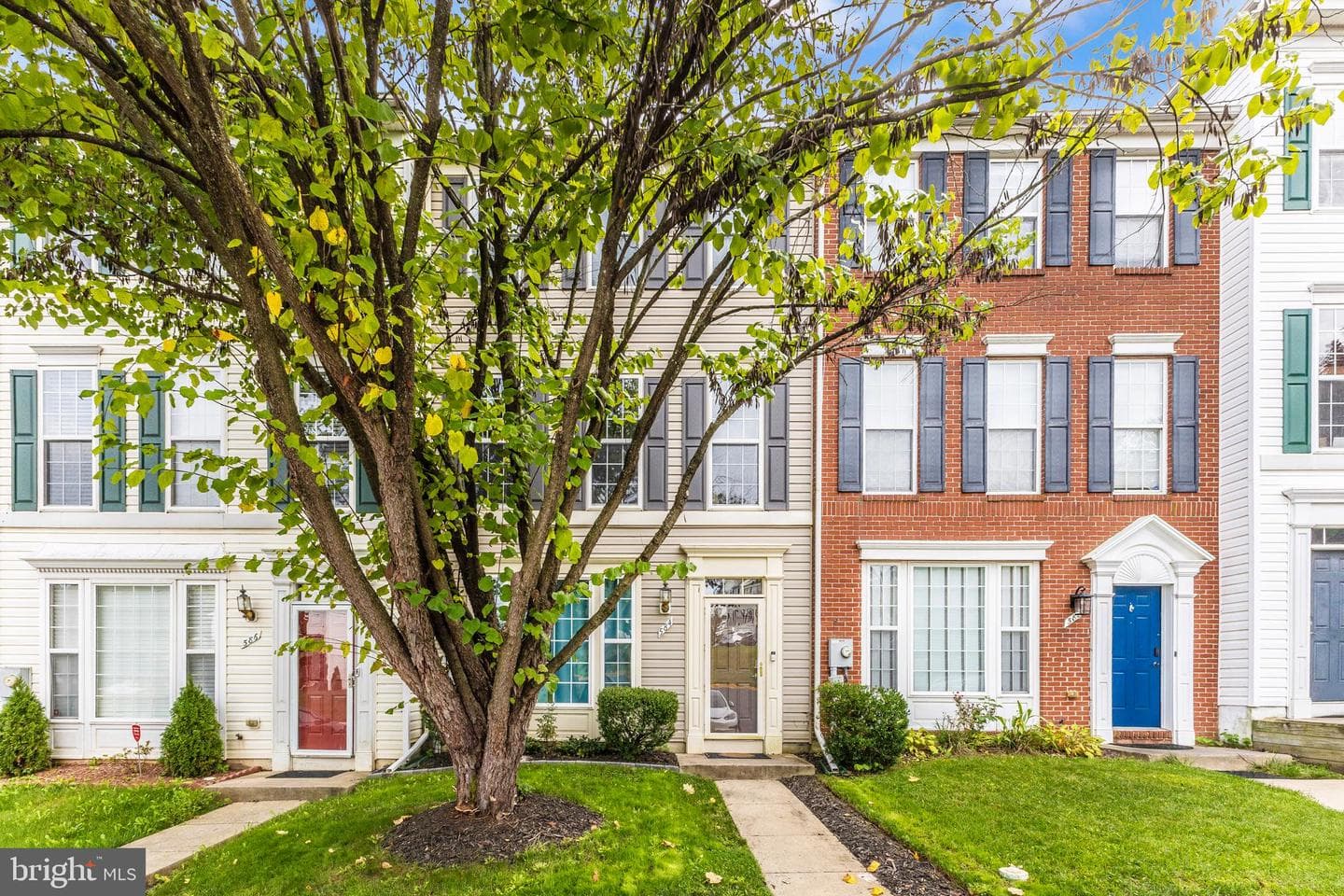 584 Ellison Court photo 47