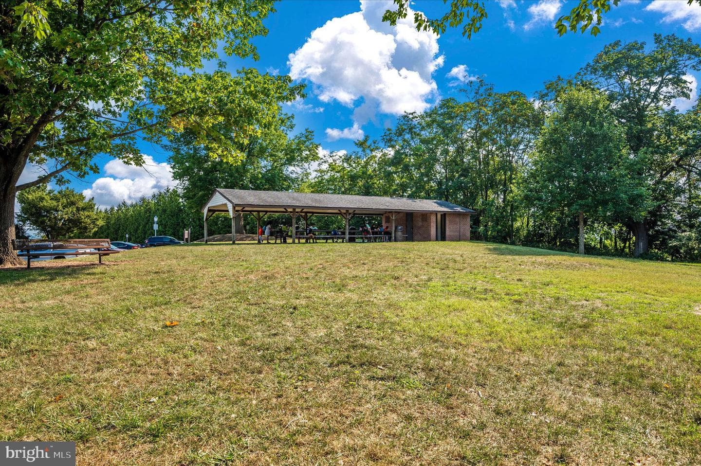 584 Ellison Court photo 59