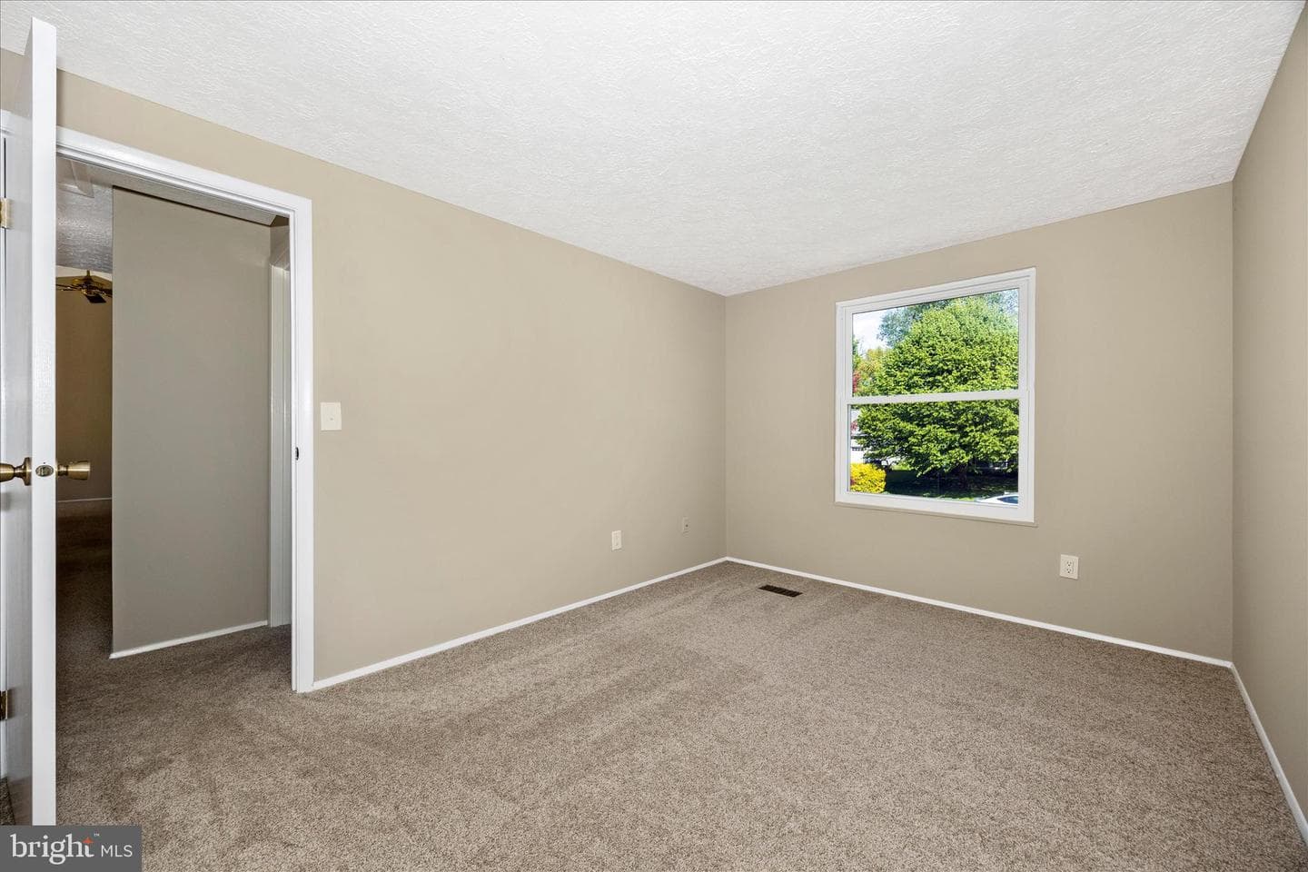 233 Diamond Drive photo 13