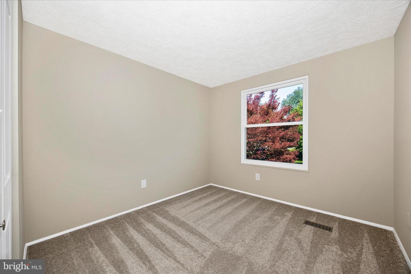 233 Diamond Drive photo 14