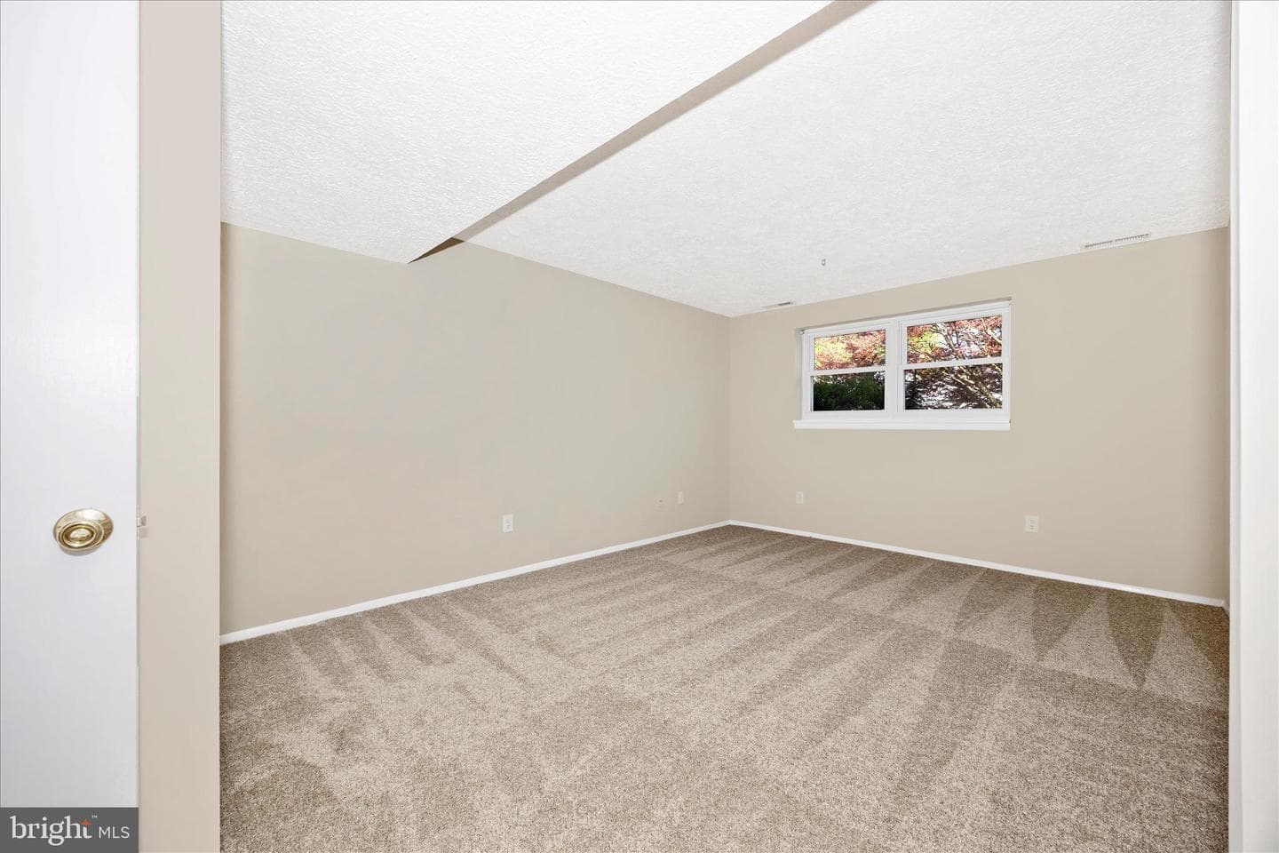 233 Diamond Drive photo 20