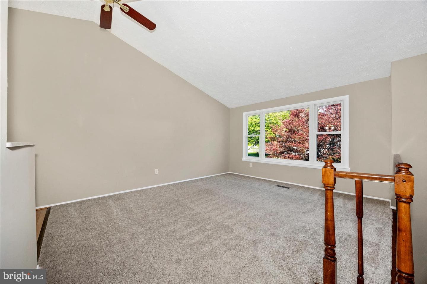 233 Diamond Drive photo 3