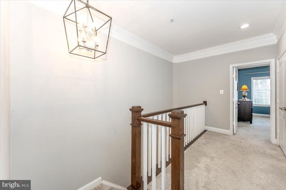 10214 Nuthatch Drive photo 26