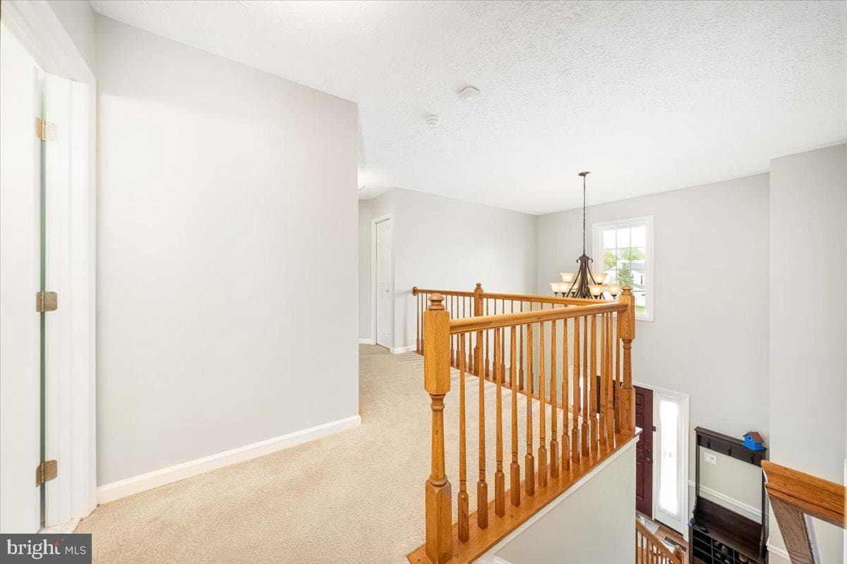 10651 Emmaline Drive photo 26