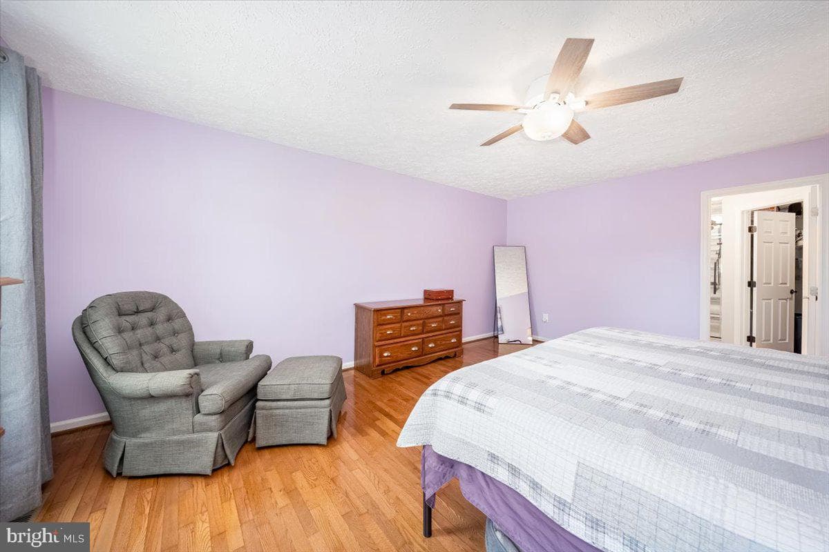 10651 Emmaline Drive photo 29