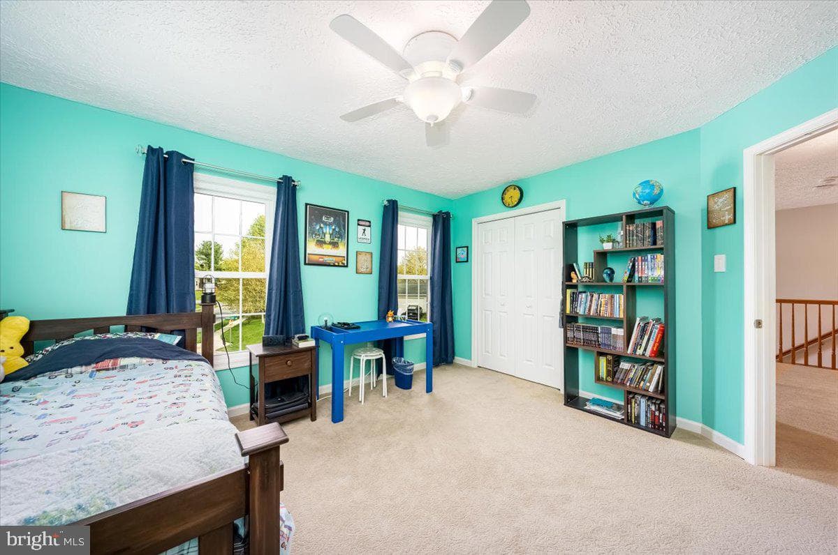 10651 Emmaline Drive photo 38