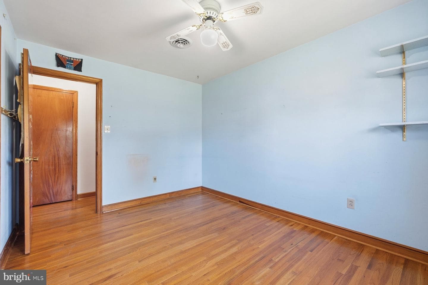 16 Linden Boulevard photo 17