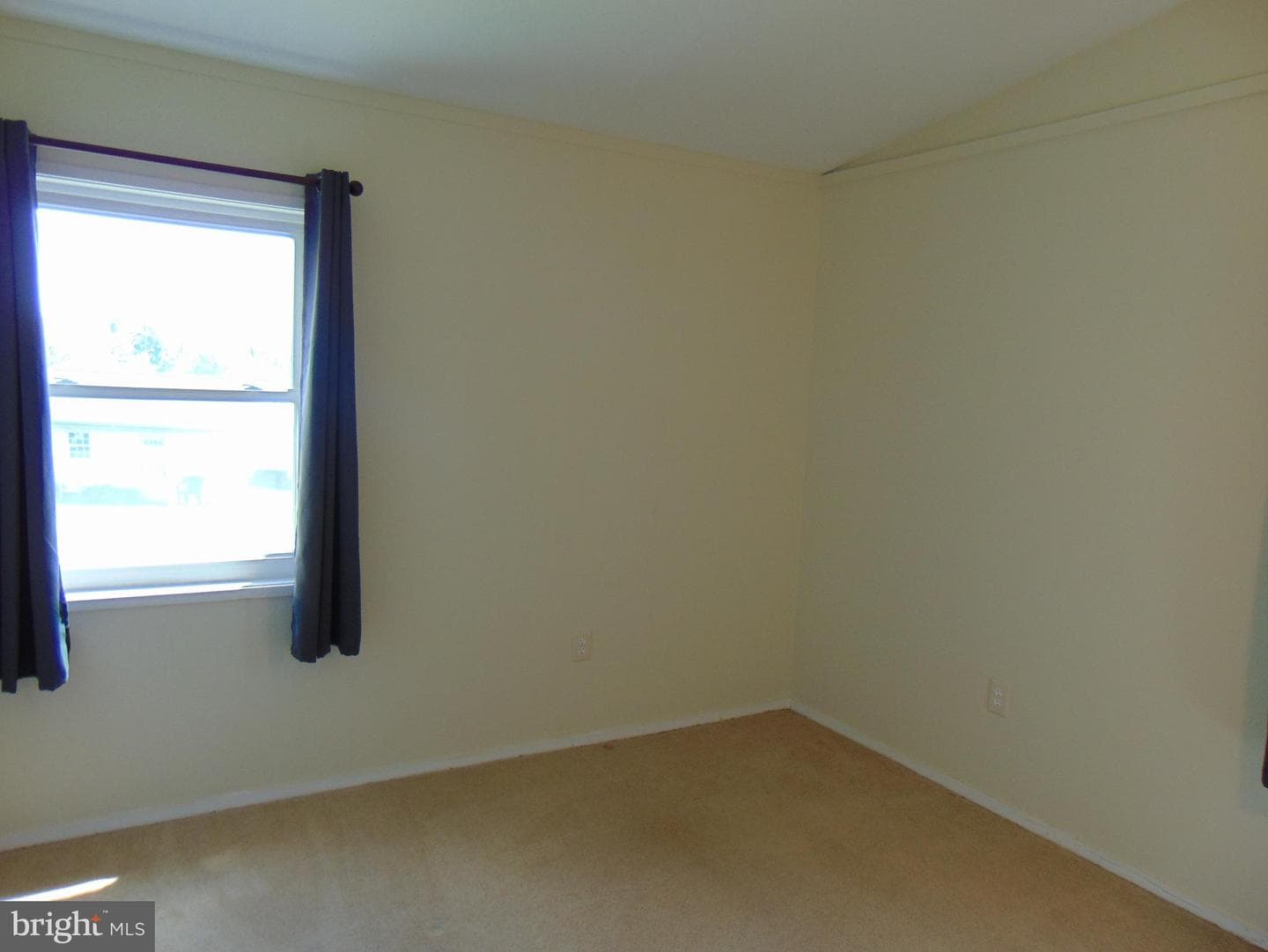 909 Oak Street photo 6
