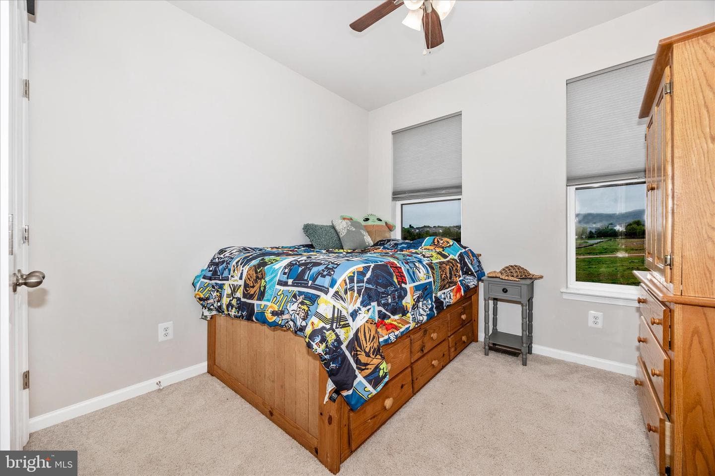 2010 Alice Court photo 29