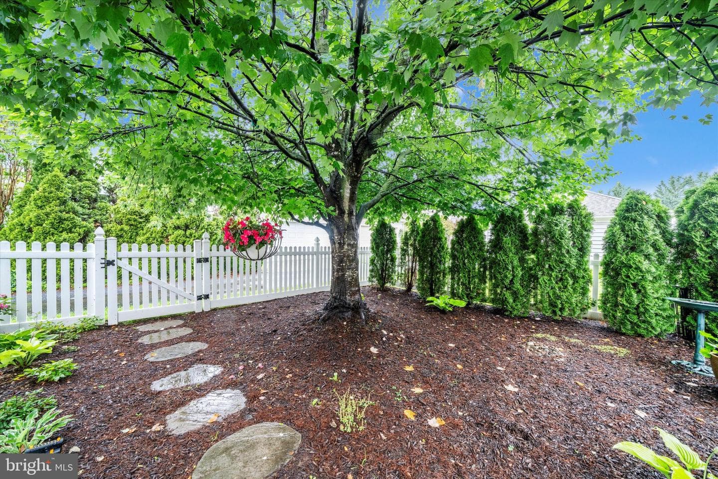 2447 Merchant Street photo 45