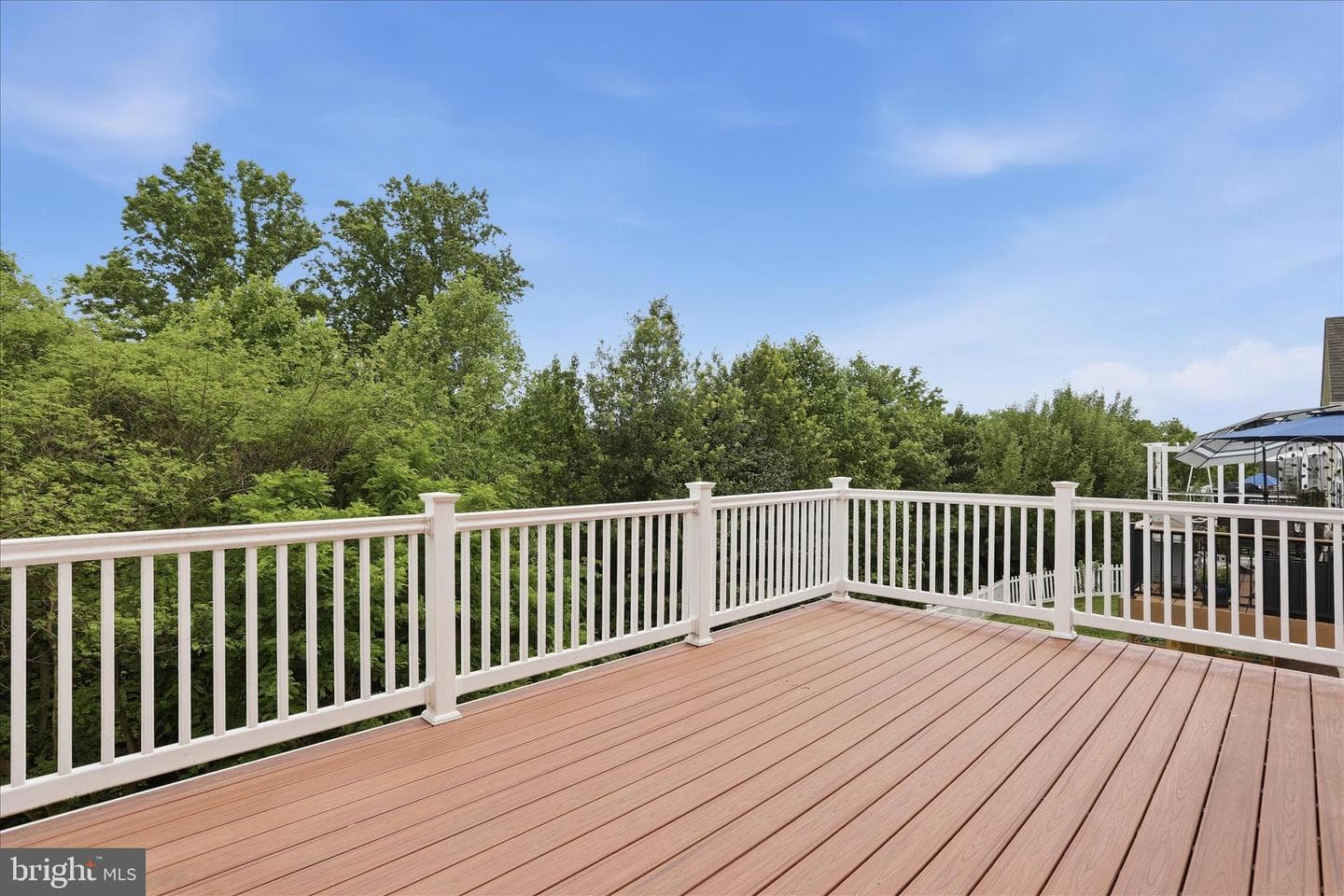 1304 Moore Spring Court photo 27