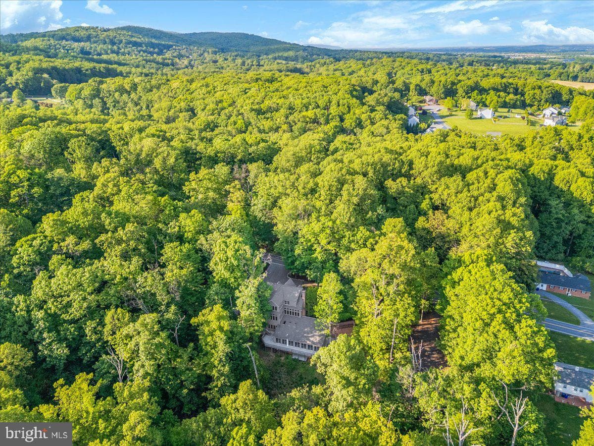 5019 Old Swimming Pool Road photo 118