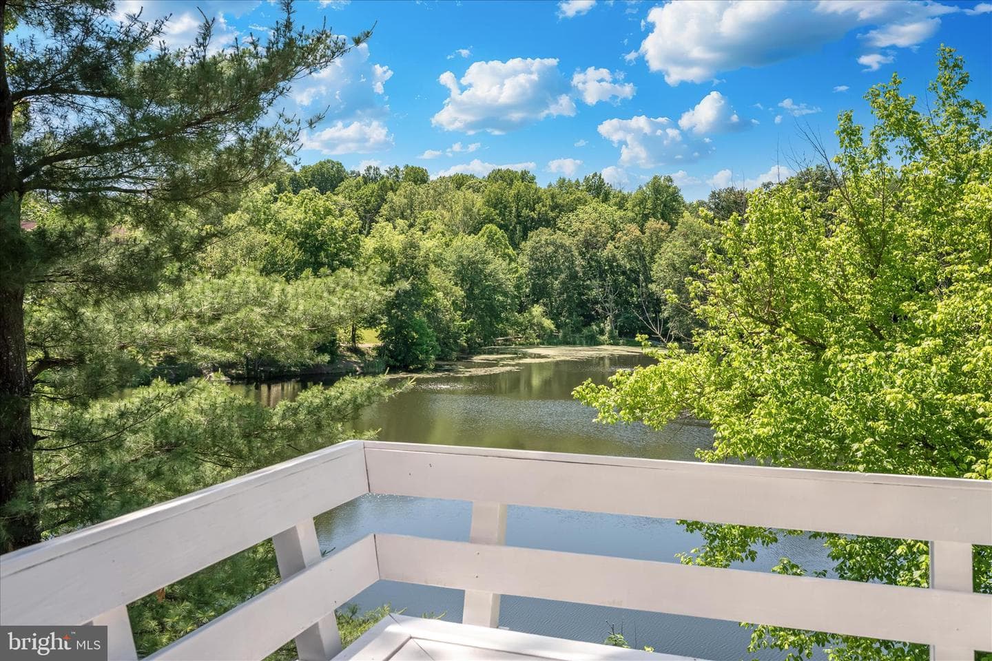 6594 Hemlock Point Road photo 42