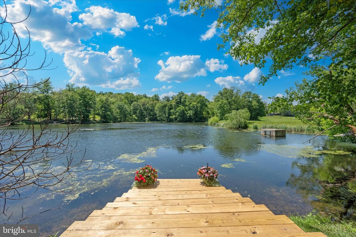 6594 Hemlock Point Road photo 77