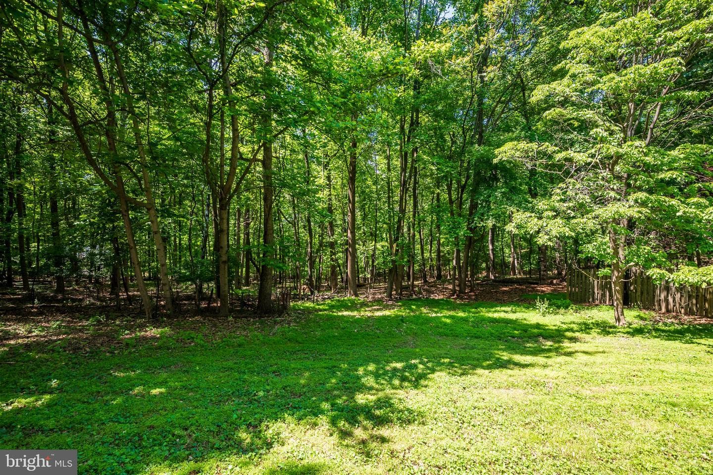 4420 Highboro Drive photo 44