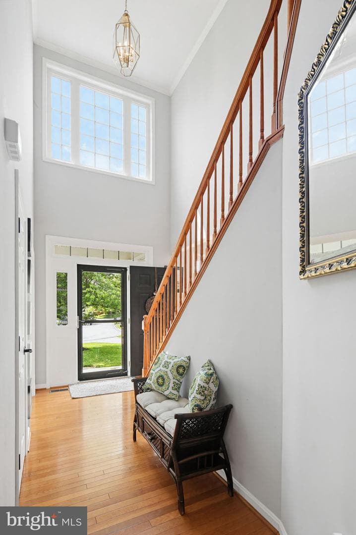 231 Cornell Drive photo 44