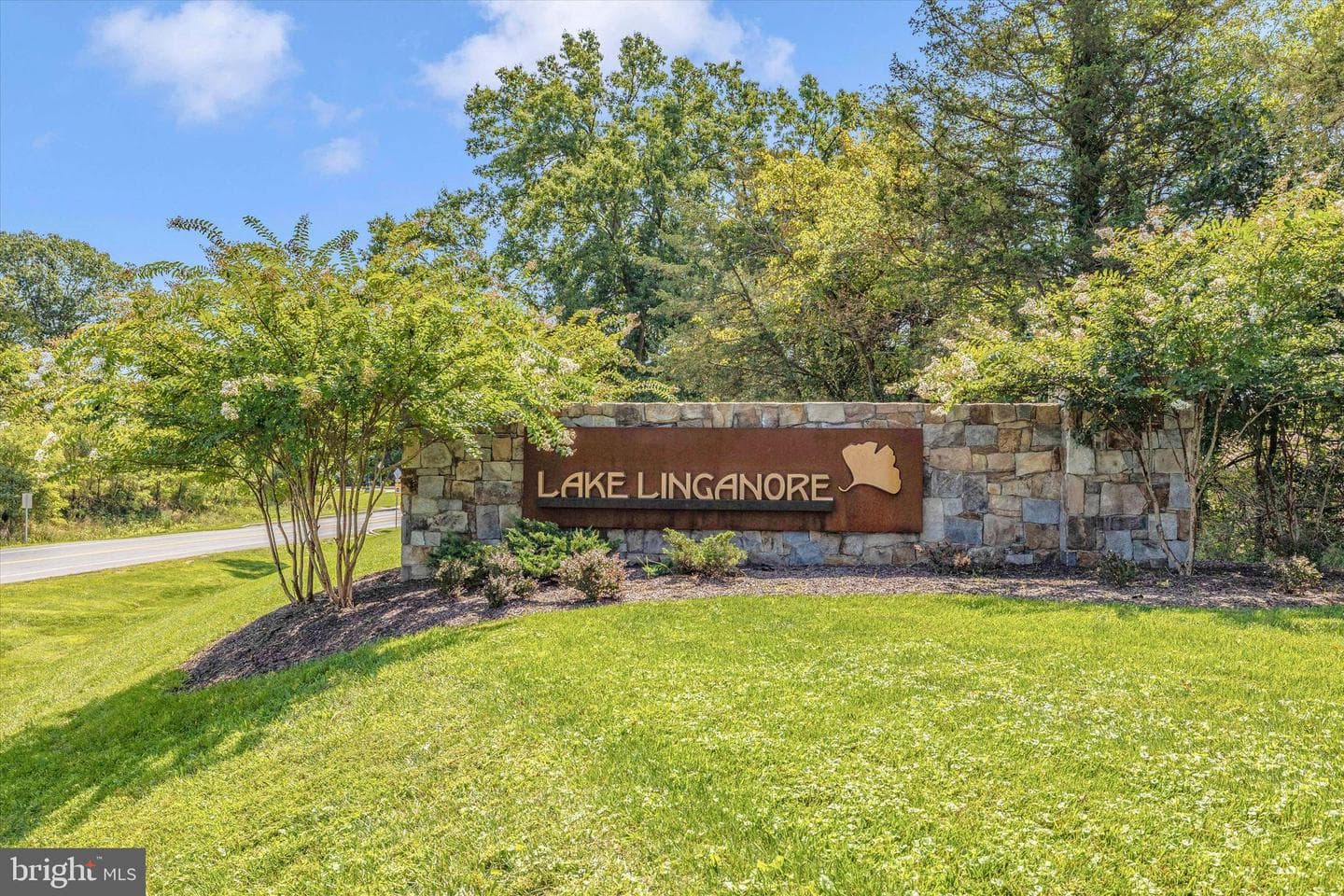 6728 Meadowlawn Circle photo 41