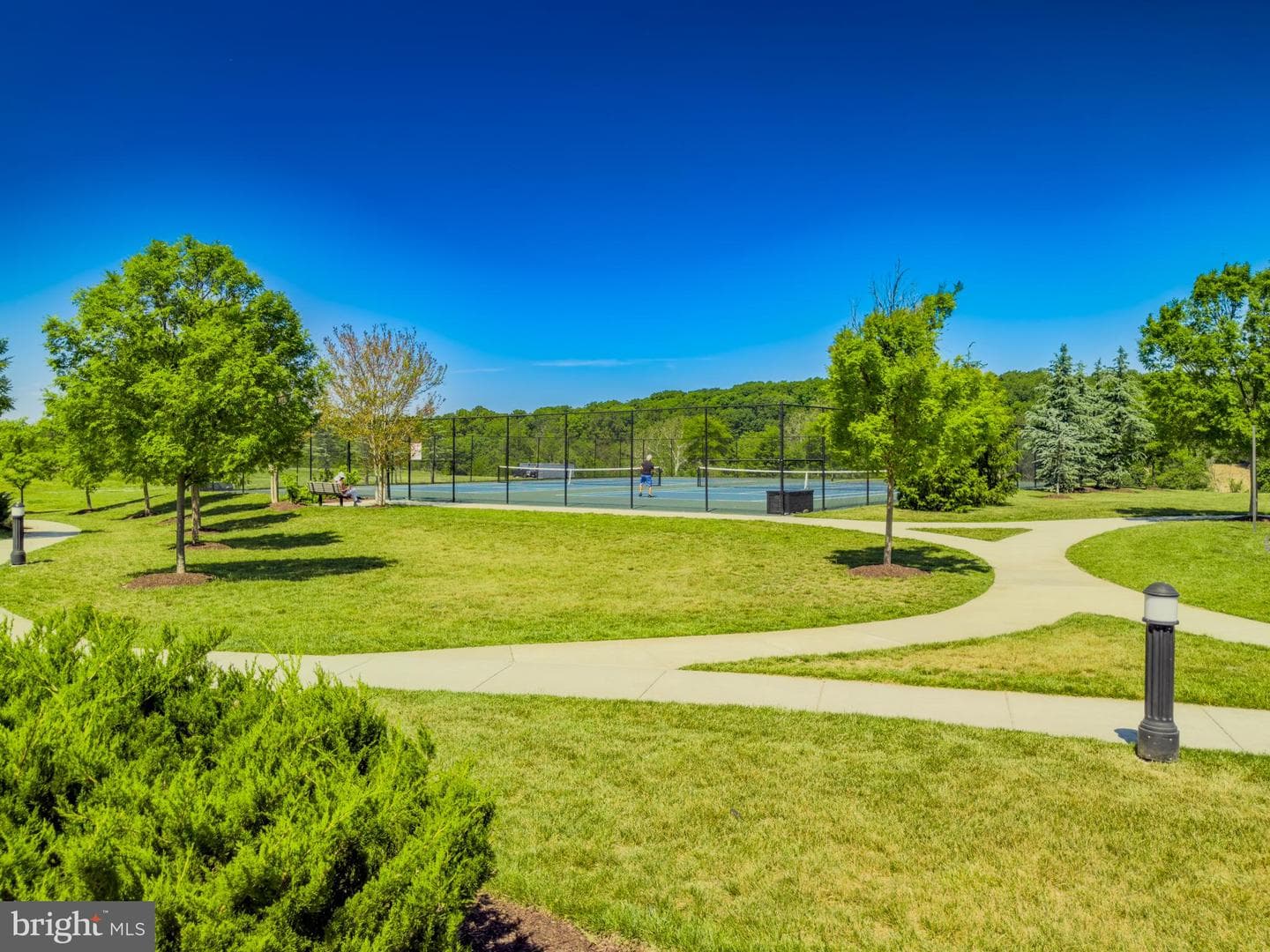 11058 Emerald Crown Drive photo 71