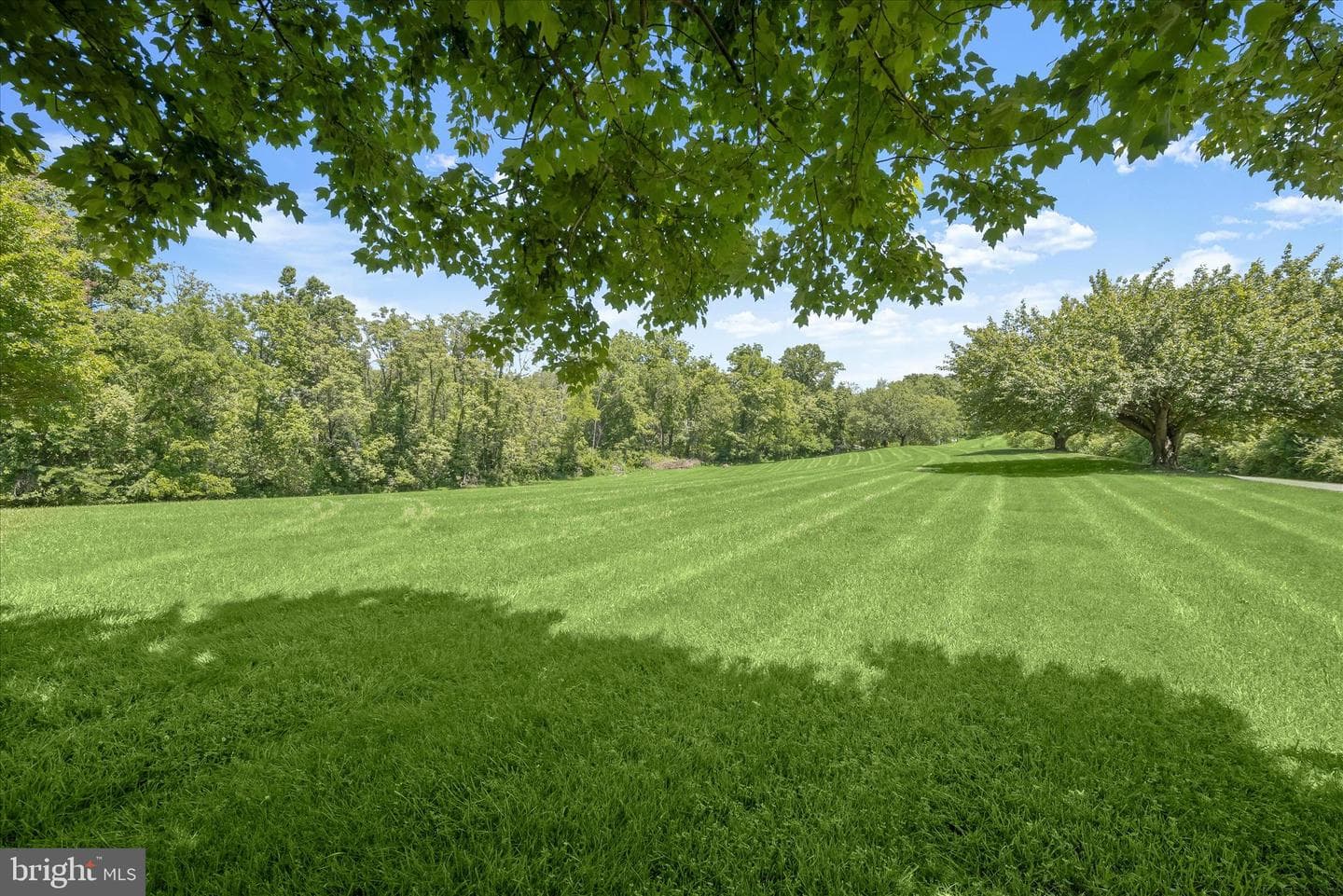 5331 Wye Creek Drive photo 42