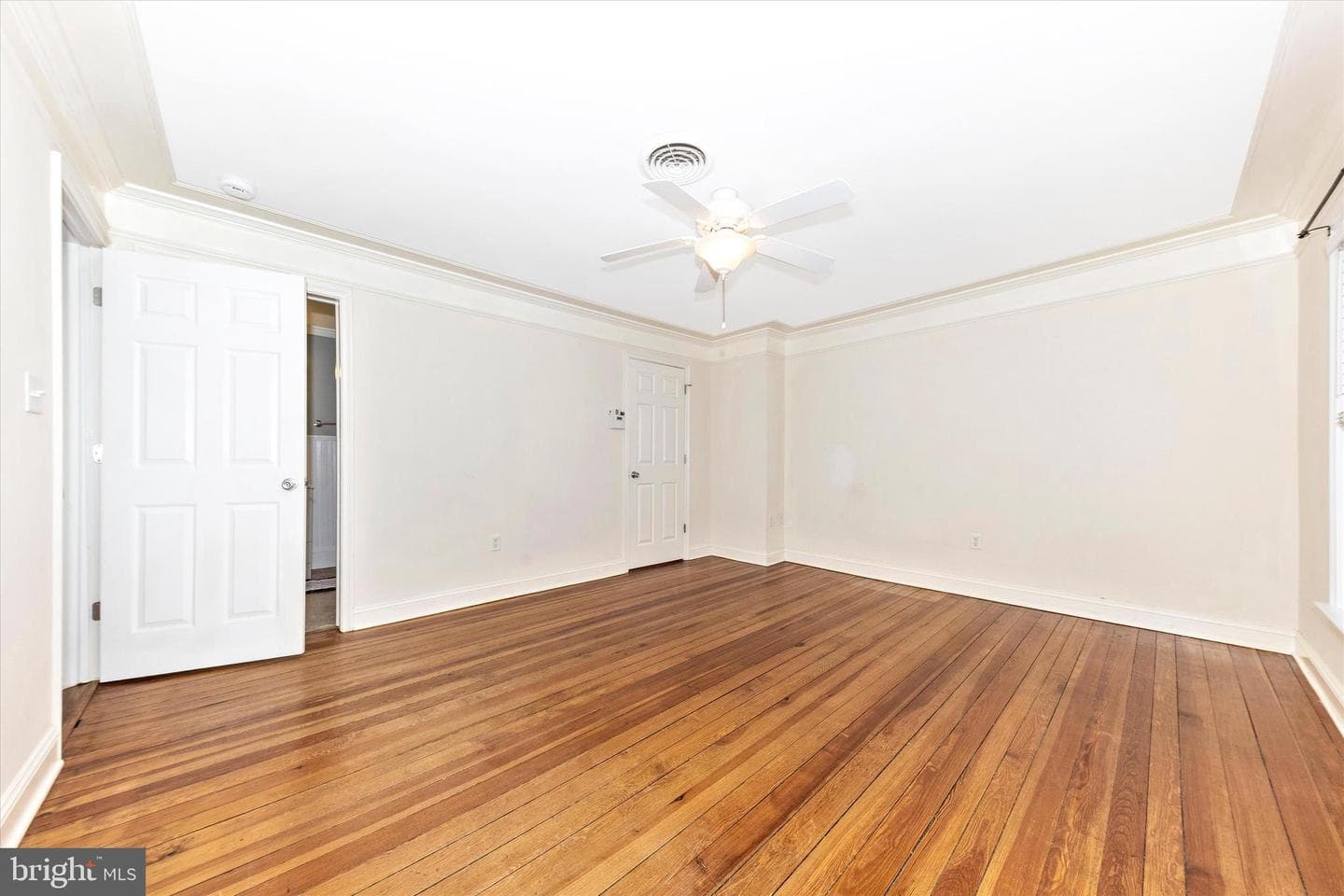 316 Brunswick Street photo 28