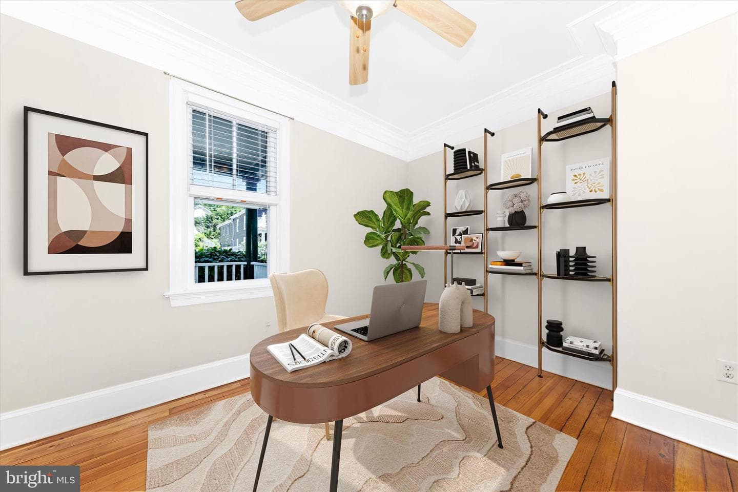 316 Brunswick Street photo 6
