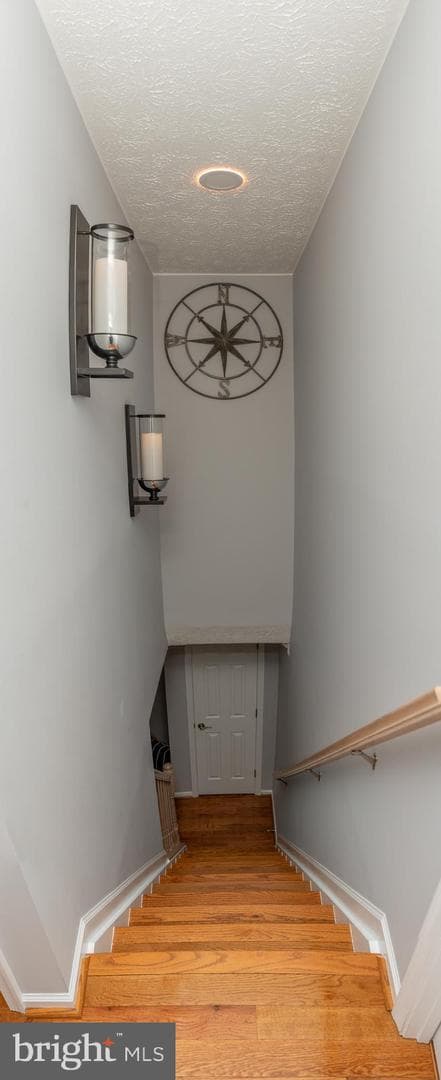 701 Angelwing Lane photo 30