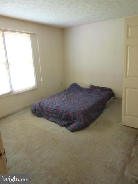 2162 Collingwood Lane photo 9