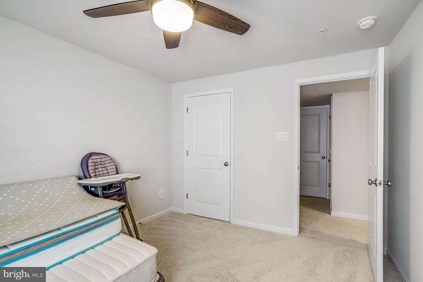 504 Carroll Walk Ave photo 37