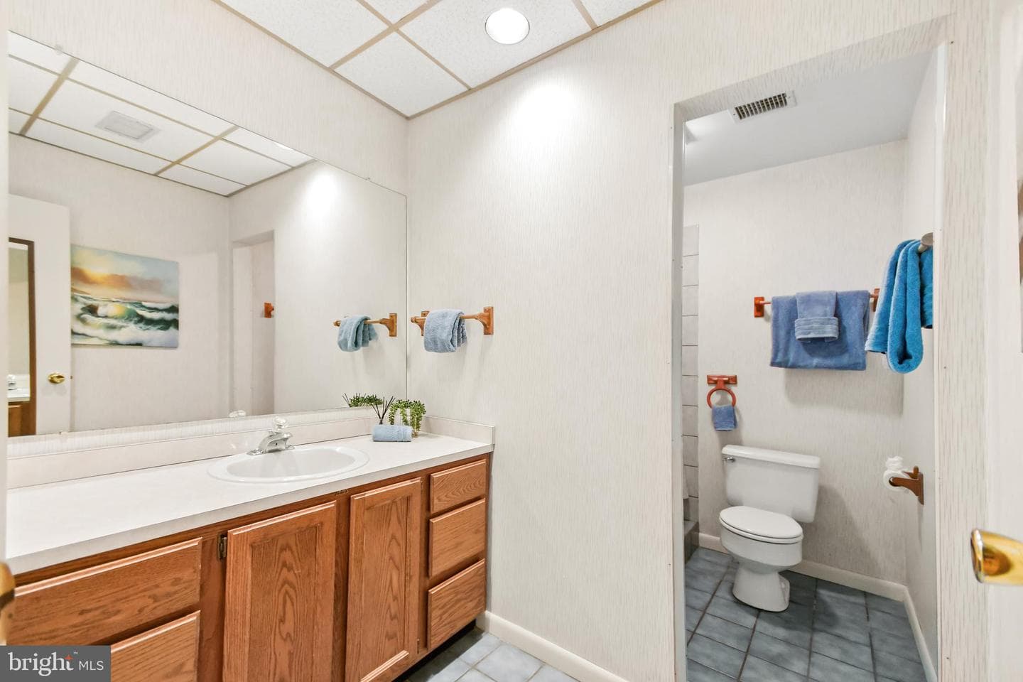 11124 Mountain View Lane photo 56