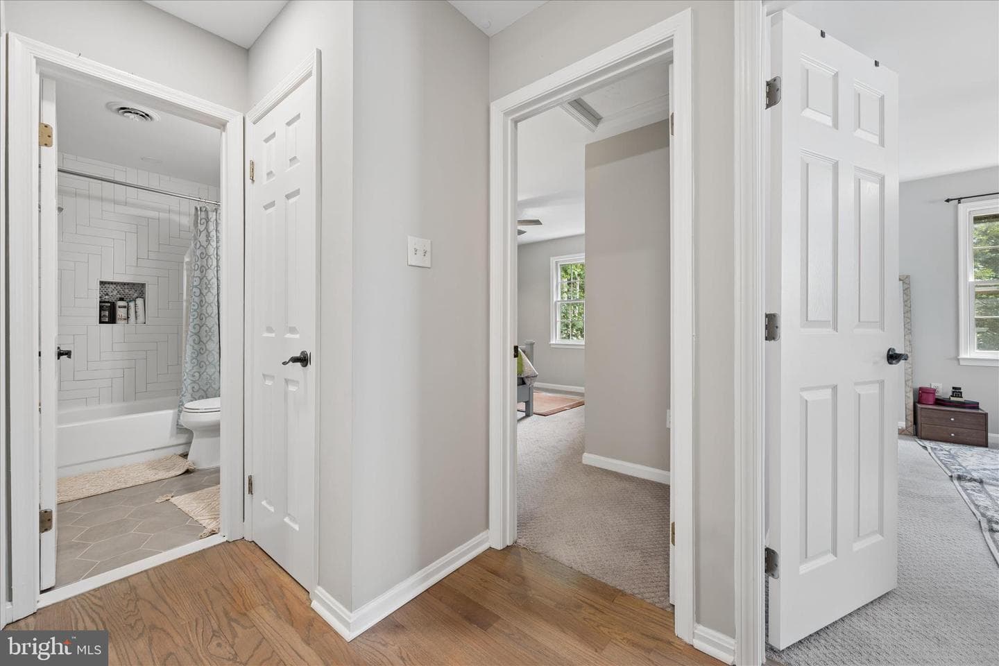 6866 Whistling Swan Way photo 33