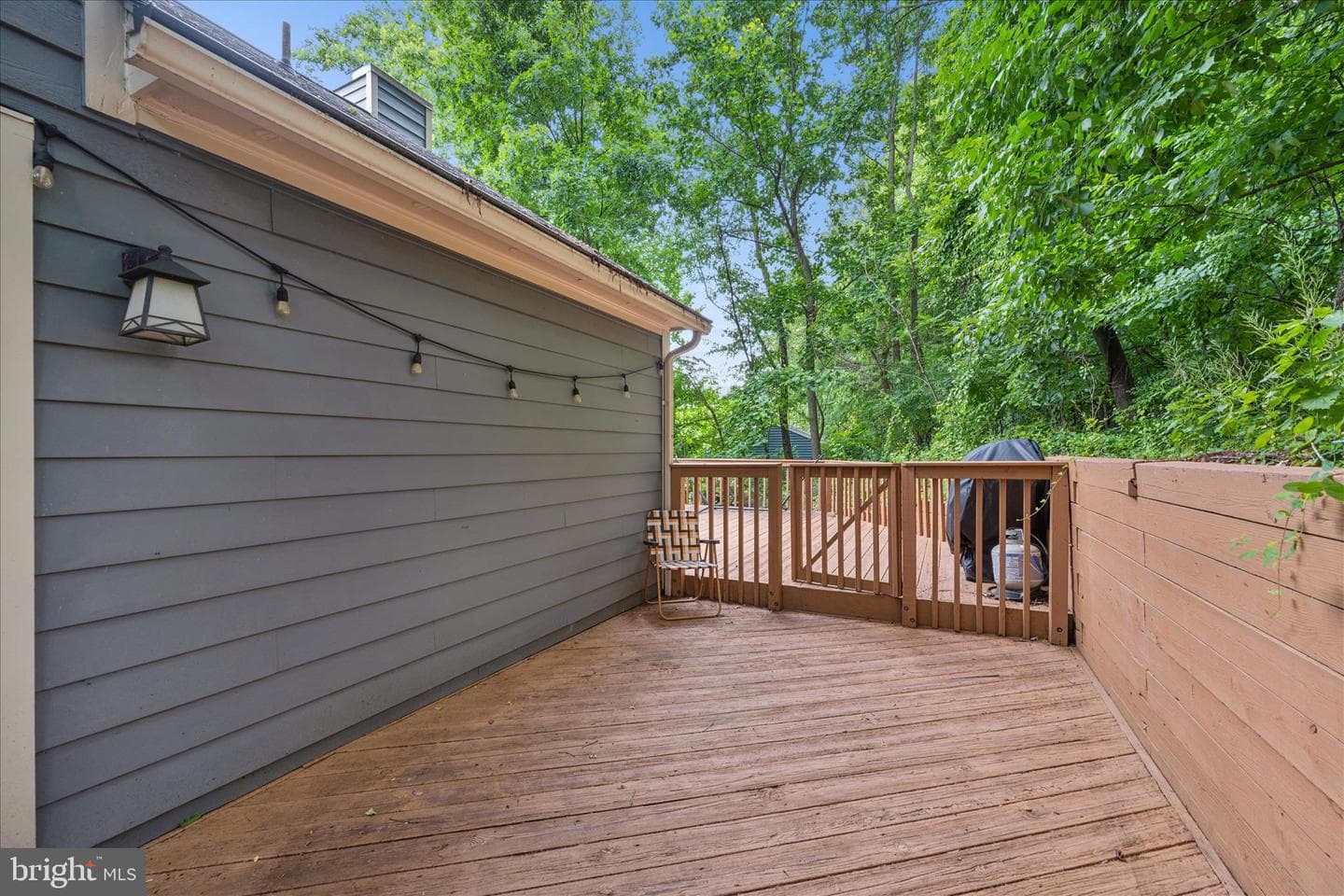 6866 Whistling Swan Way photo 53