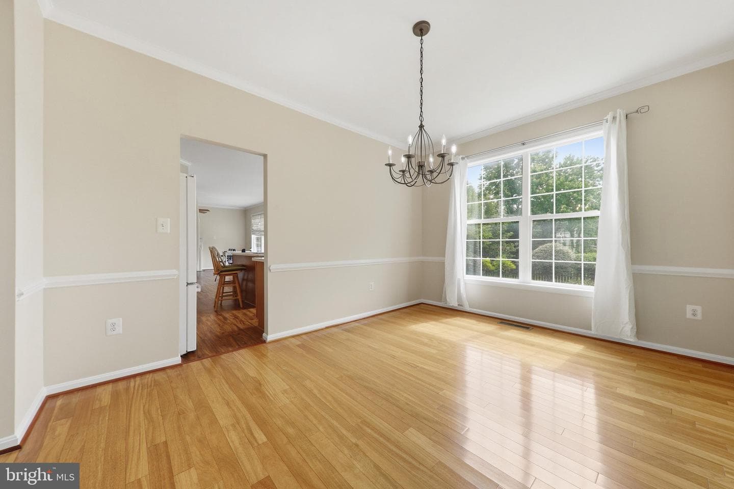 612 Bushytail Drive photo 10