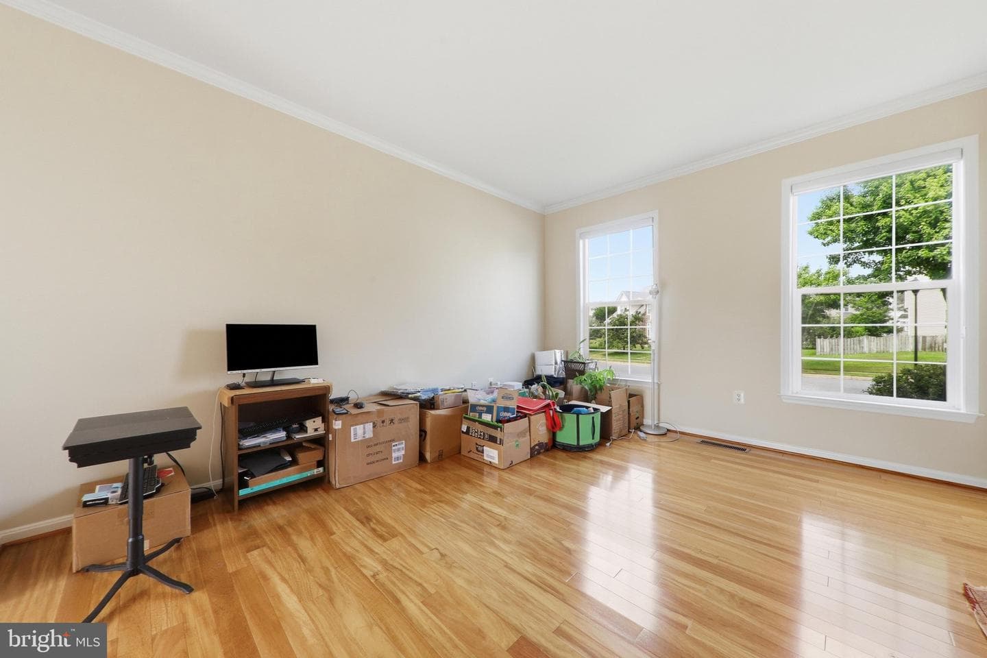 612 Bushytail Drive photo 5