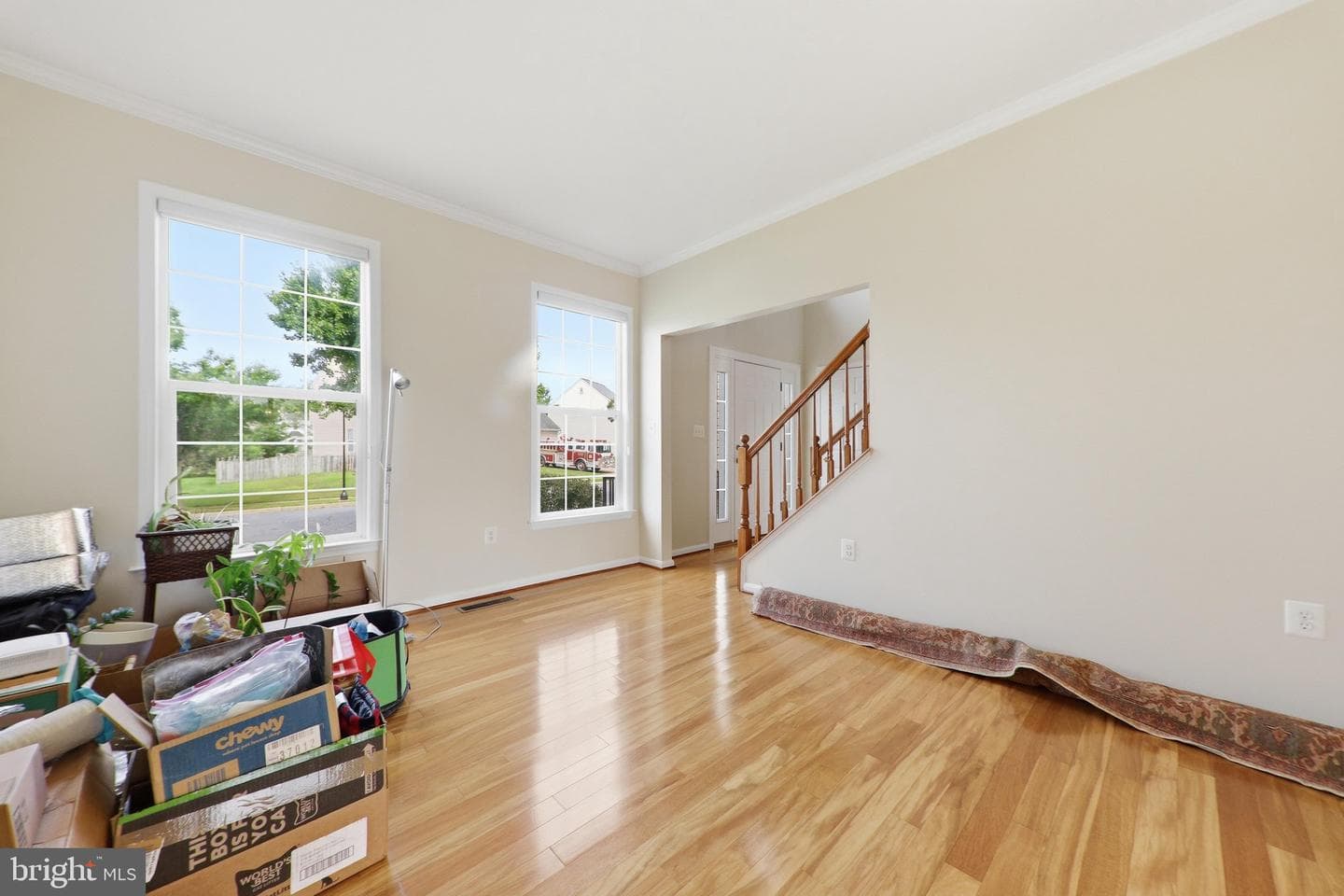 612 Bushytail Drive photo 6