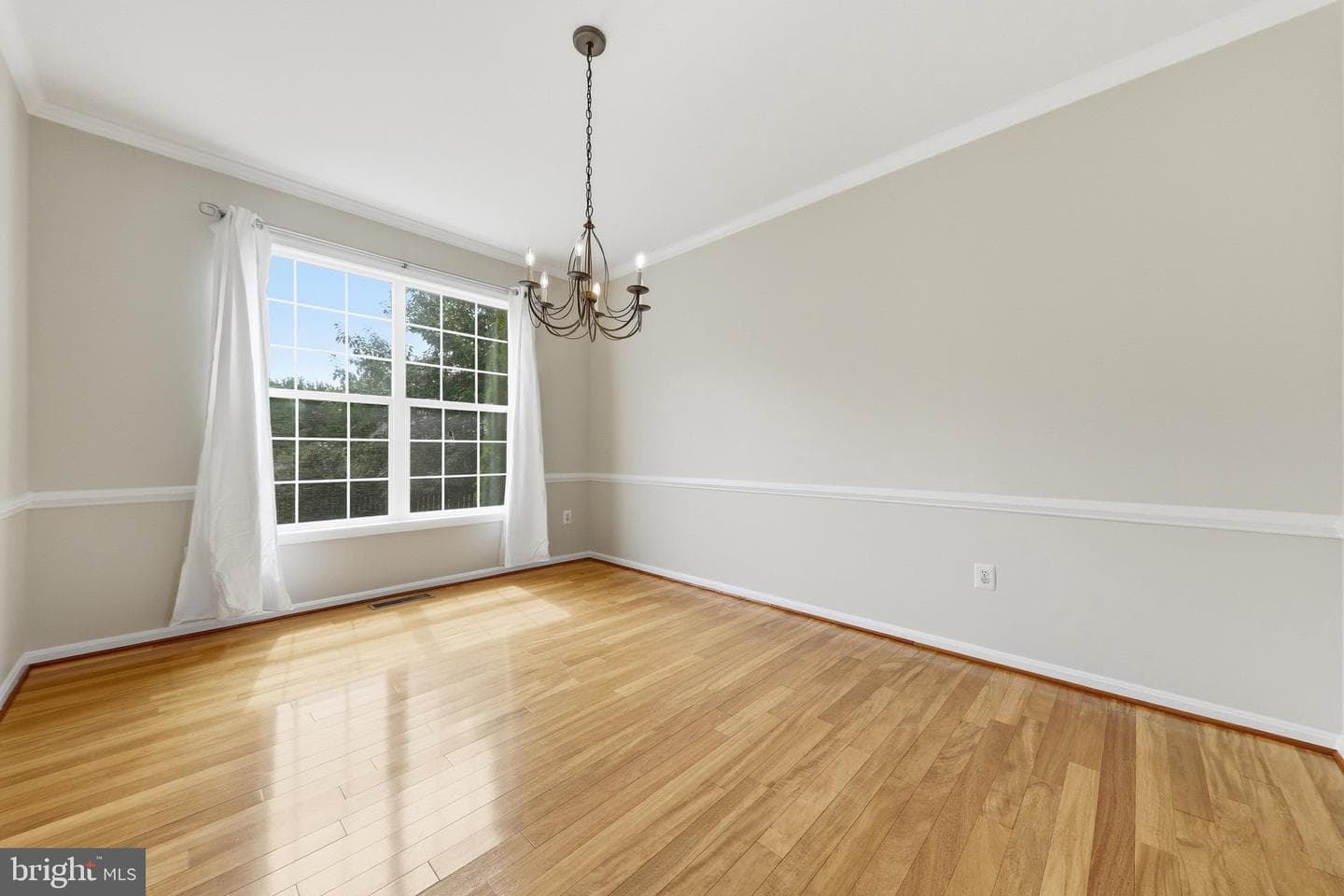 612 Bushytail Drive photo 9