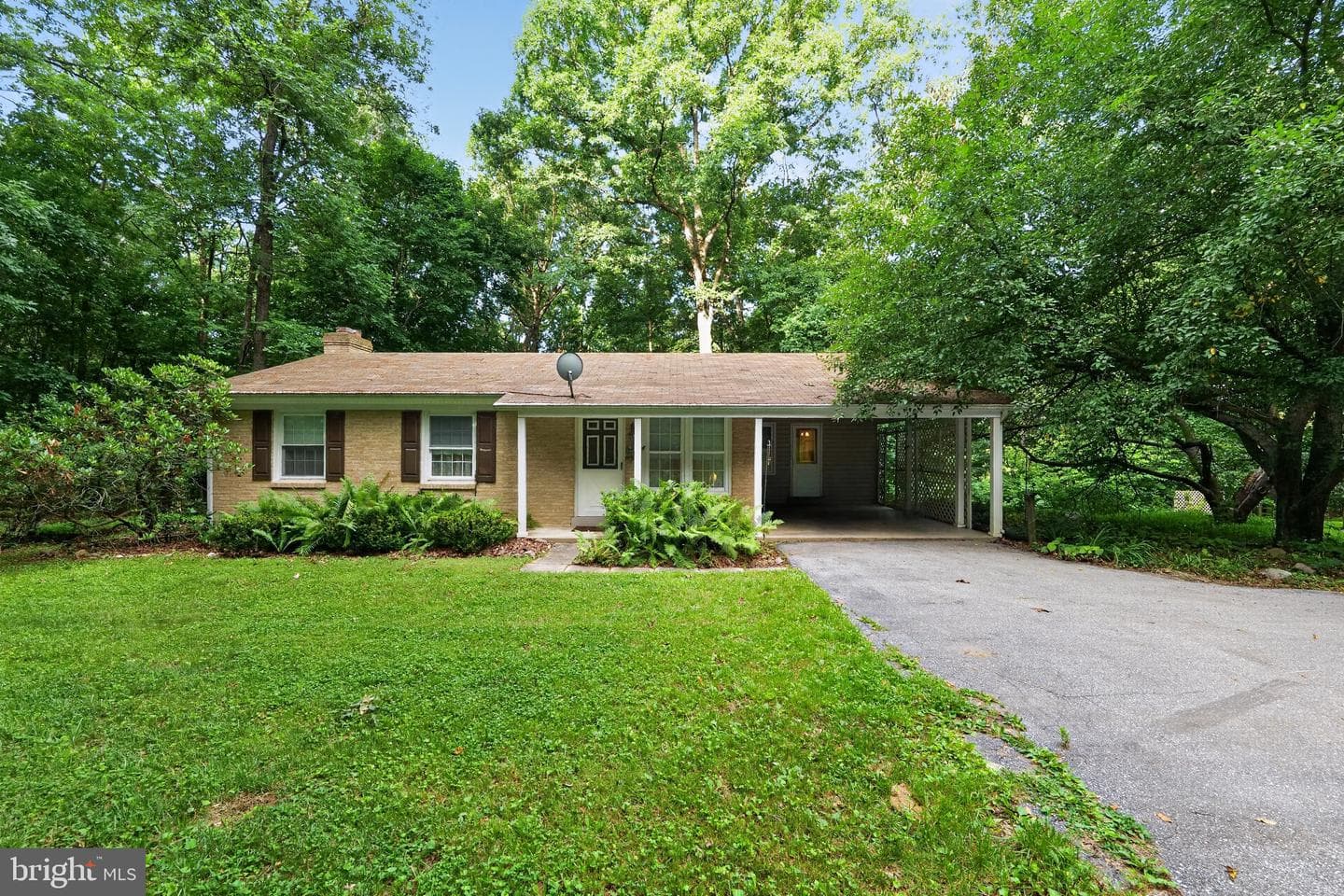 9810 Woodsboro Road, Frederick
